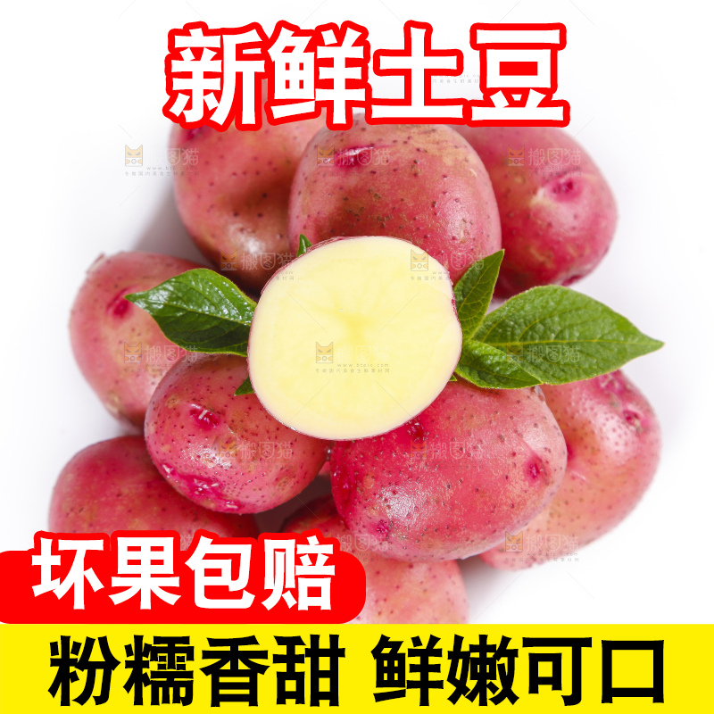 白底上摆放着红皮马铃薯
