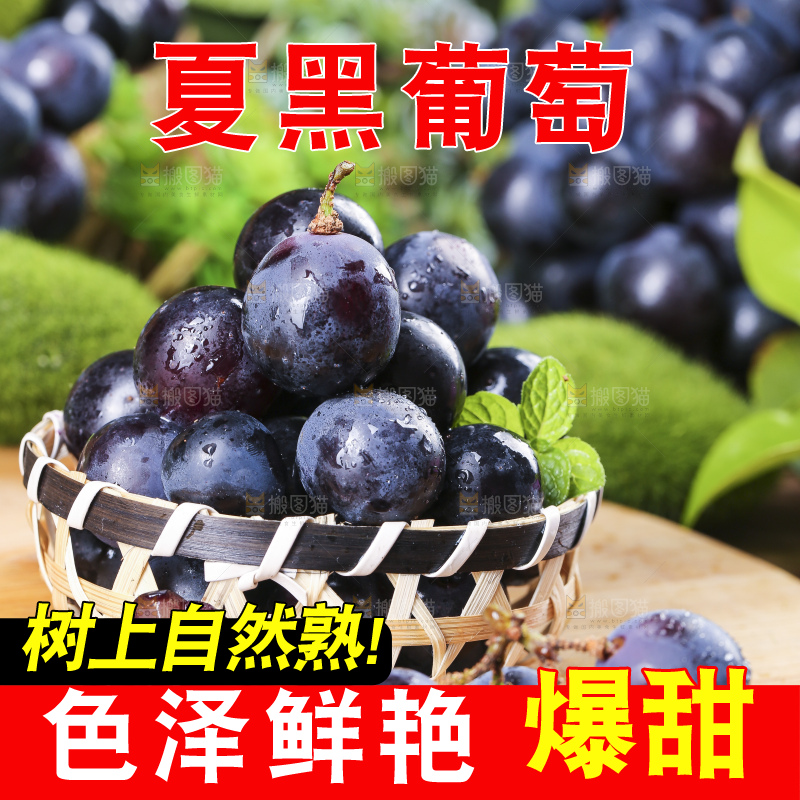 篮子里装着夏黑无籽葡萄