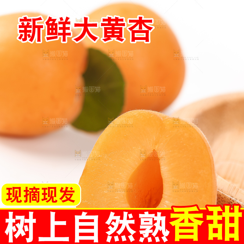 白底上摆放着秦岭头茬大黄杏