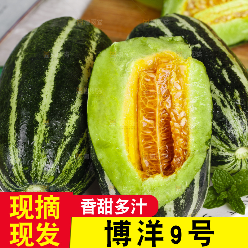 盘子里装着美洋甜瓜