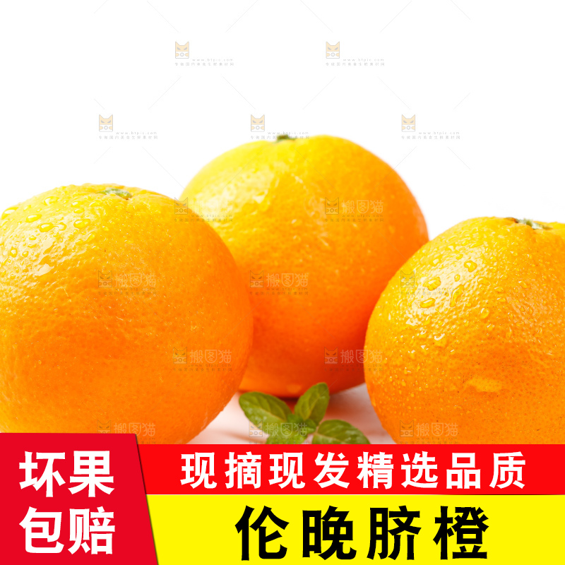 白底上放着赣南伦晚脐橙