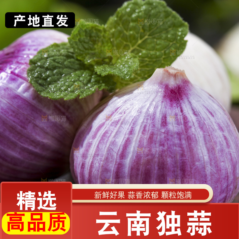 深底上摆放着云南独头蒜