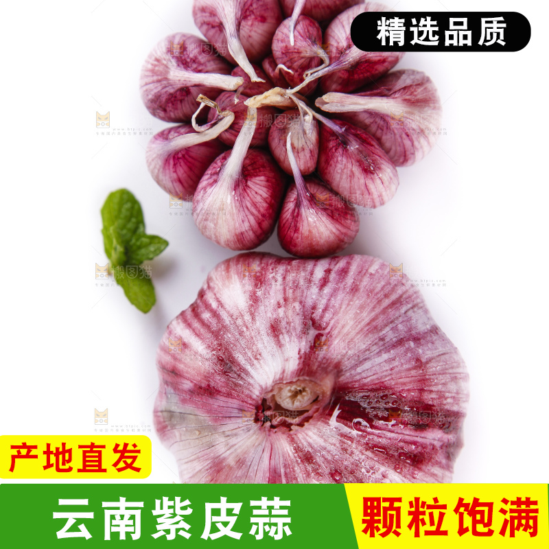 白底上放着紫皮蒜