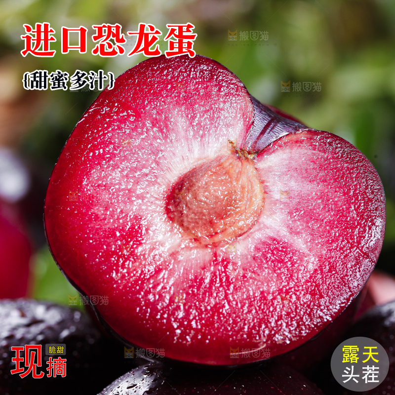 盘子里装着恐龙蛋李