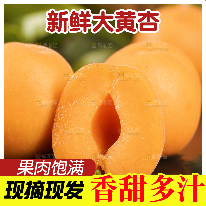 黑底上摆放着头茬大黄杏