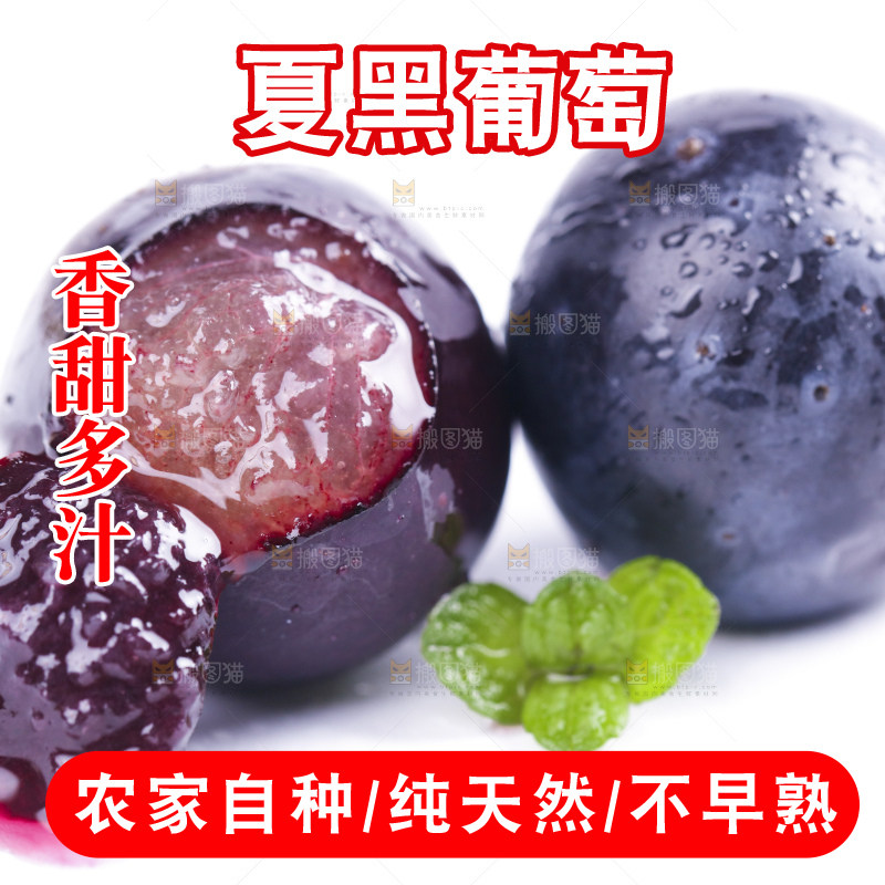 白底上摆放着夏黑葡萄