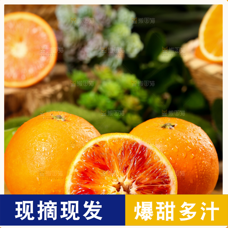 木底上摆放着四川塔罗科血橙