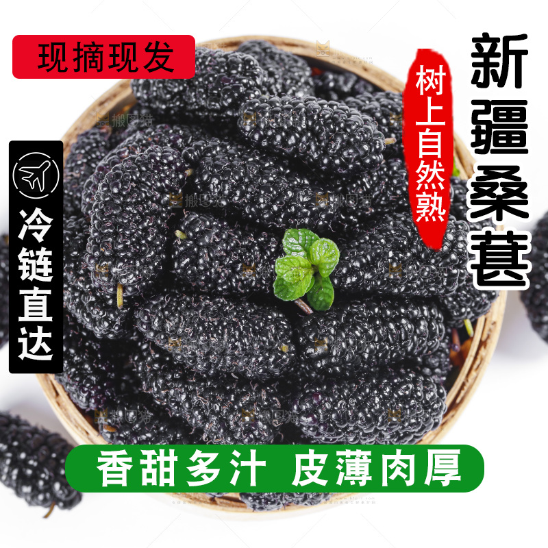 篮子里装着黑桑葚