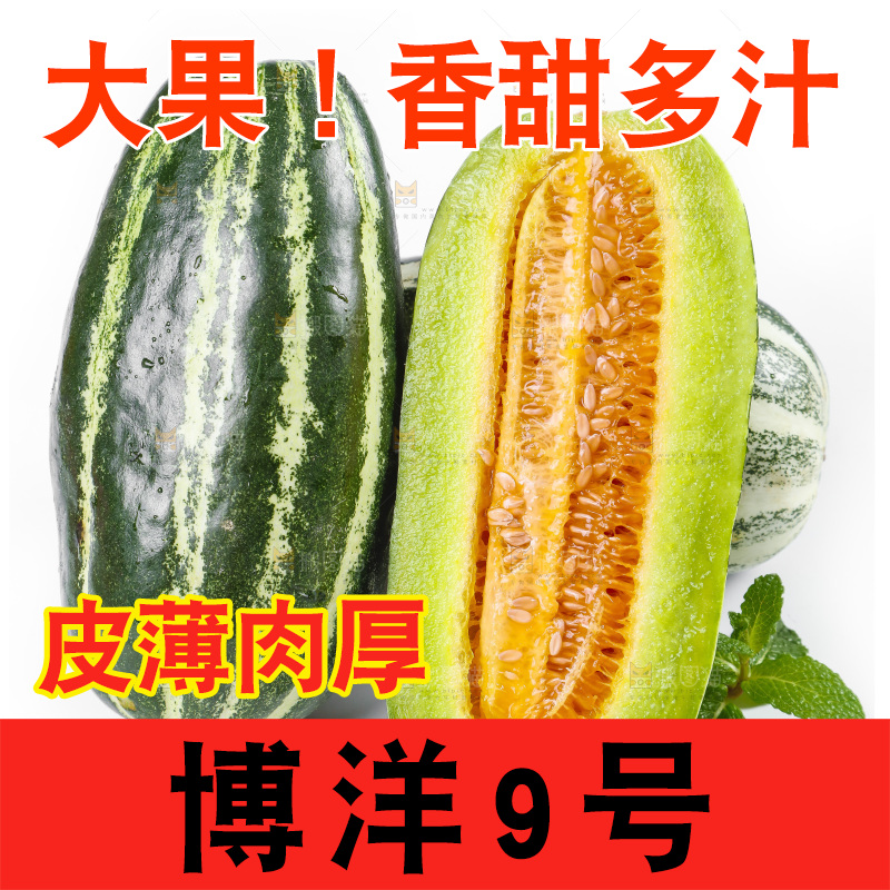 白底上放着博洋蜜脆甜瓜