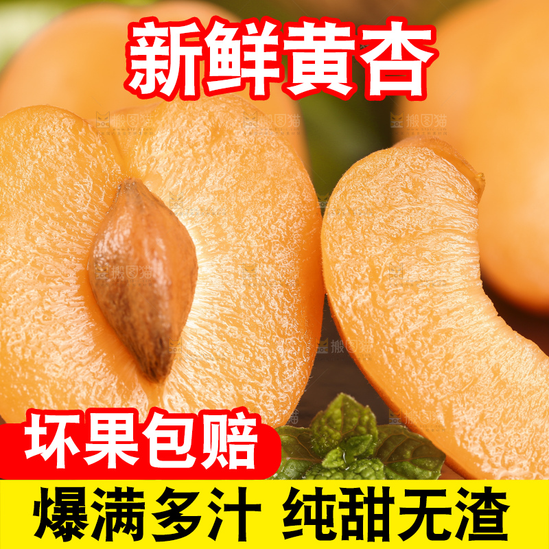 深底上摆放着凯特杏