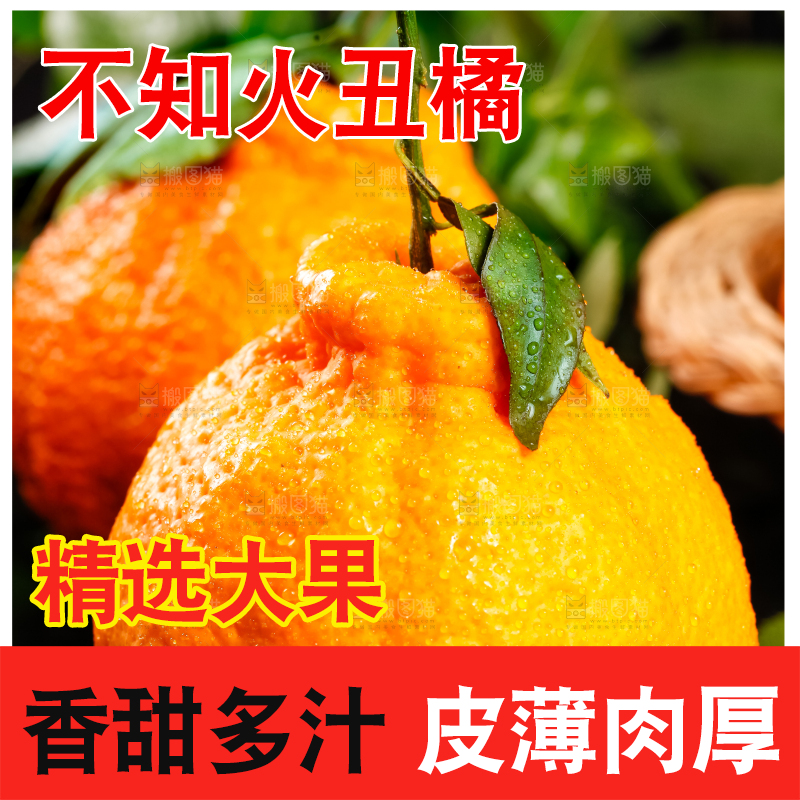 黑底上放着丑八怪橘子