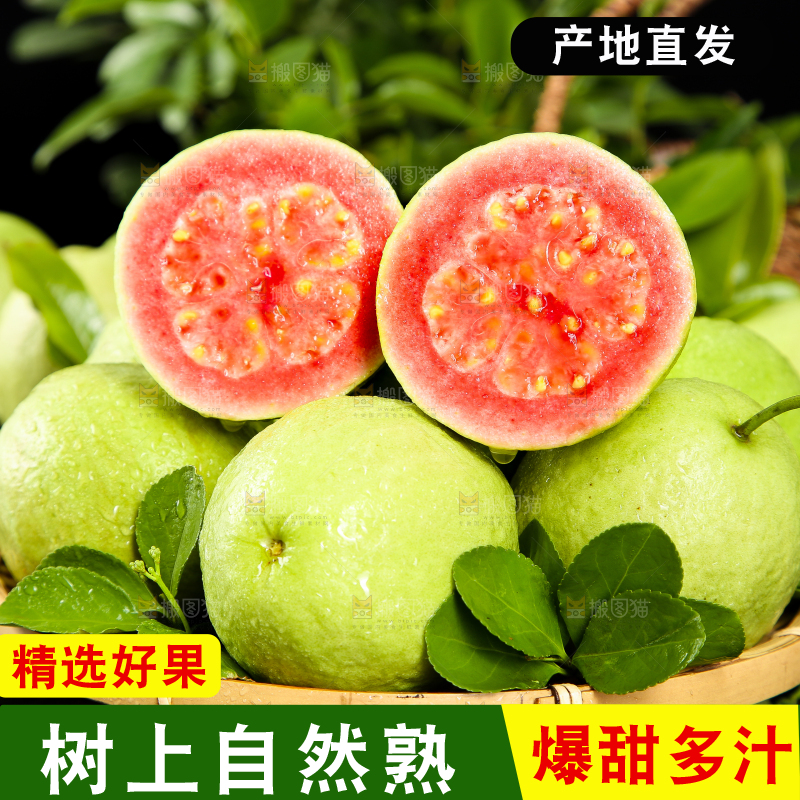 篮子里装着广西红心芭乐