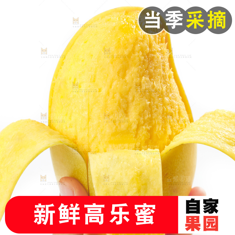 手里拿着甜心芒