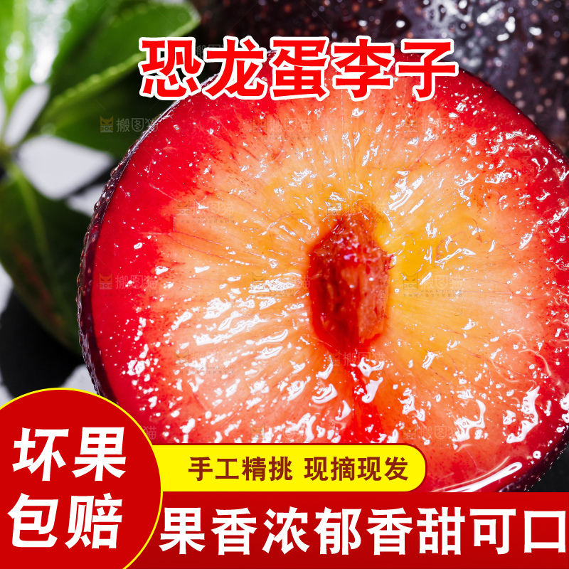 黑底上摆放着智利进口恐龙蛋