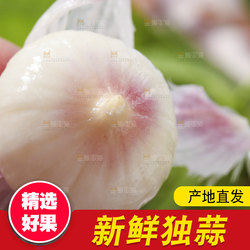 手里拿着独蒜头