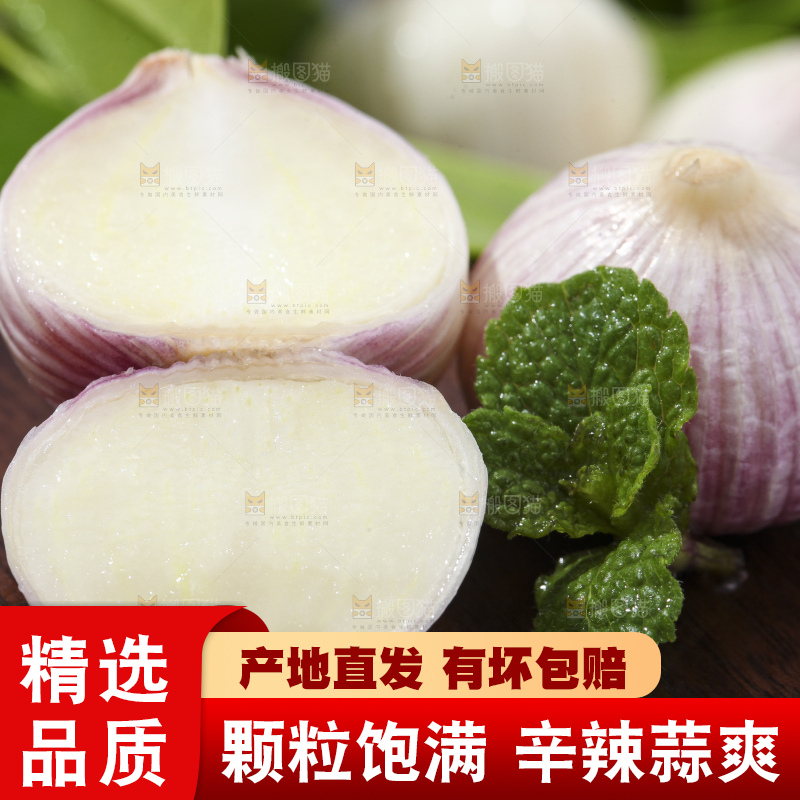 深底上摆放着紫皮独蒜