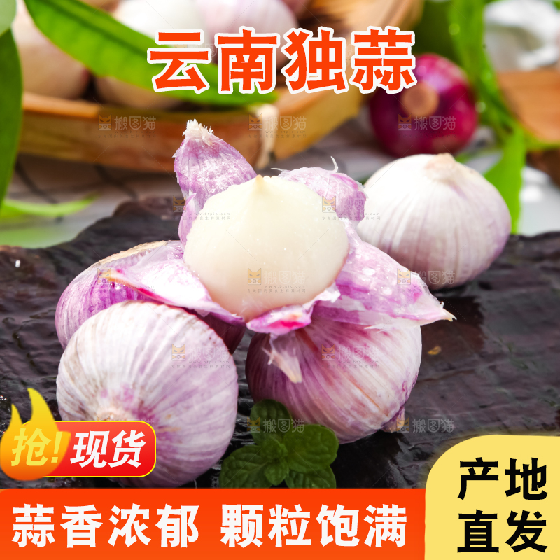 深底上摆放着紫皮独蒜