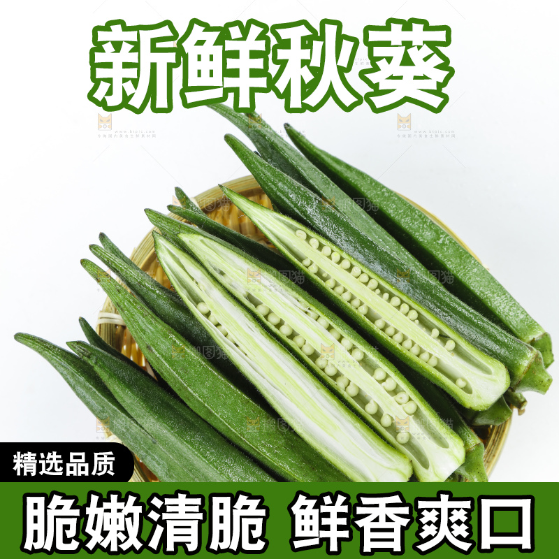 篮子里装着山东新鲜秋葵