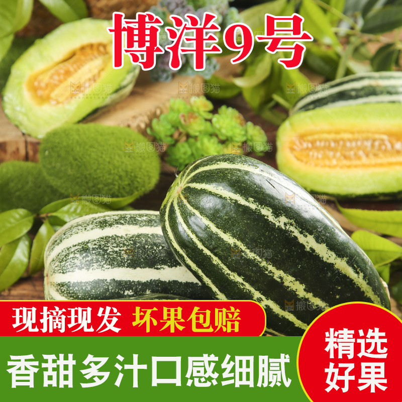 篮子里装着博洋9号甜瓜