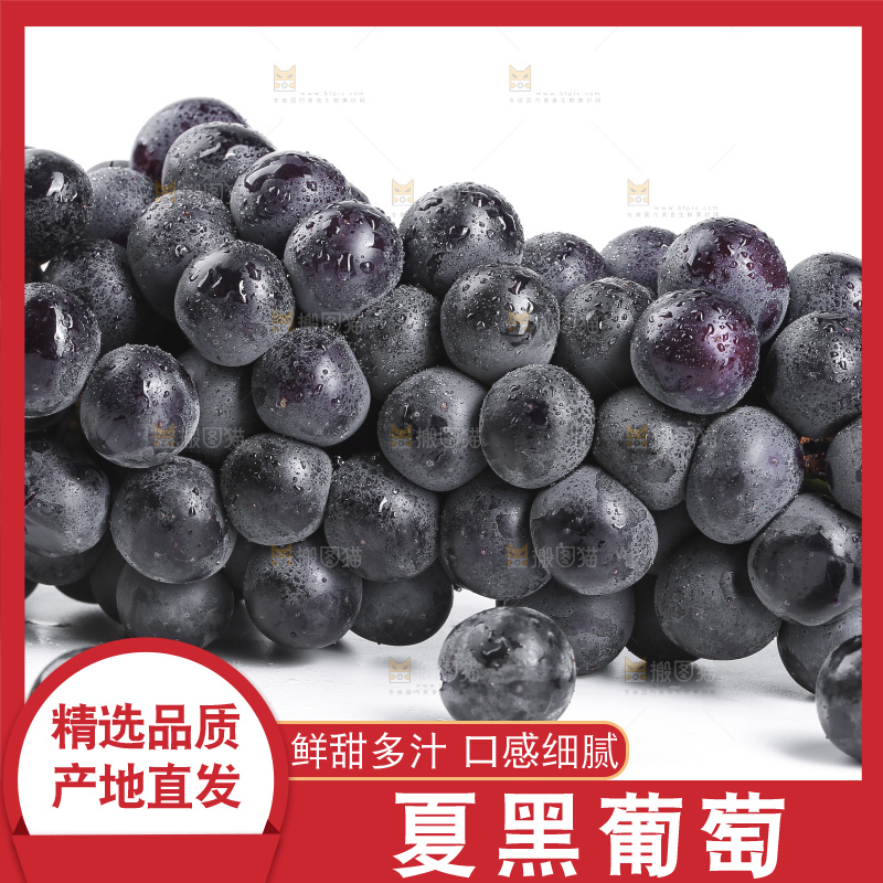 白底上放着夏黑葡萄