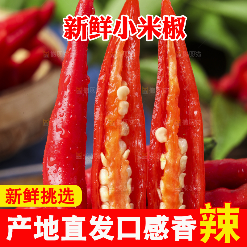 木底上摆放着小尖椒