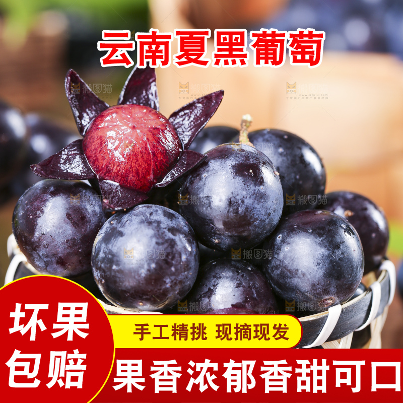 篮子里装着夏黑葡萄