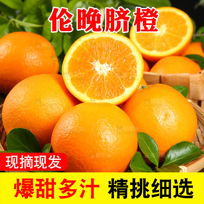 篮子里放着秭归脐橙