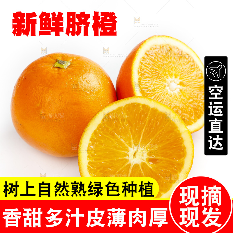 白底上放着赣南脐橙