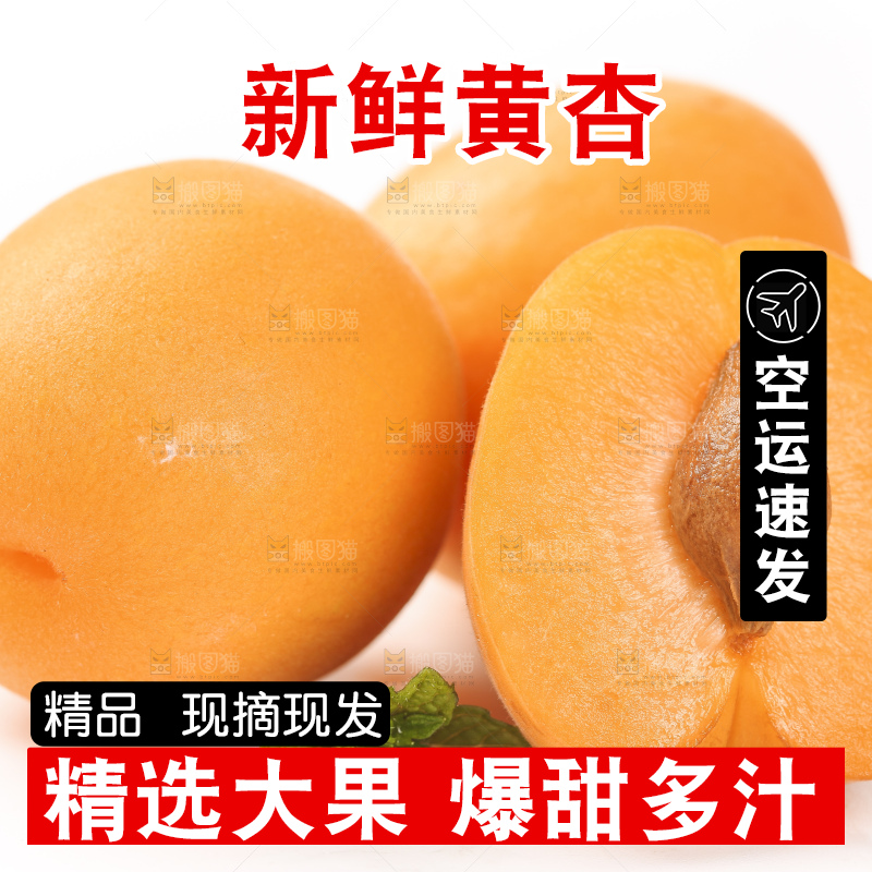 白底上摆放着秦岭头茬大黄杏