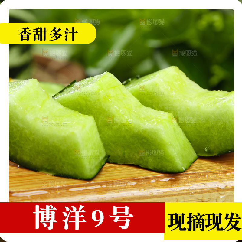 木底上摆放着羊角蜜甜瓜
