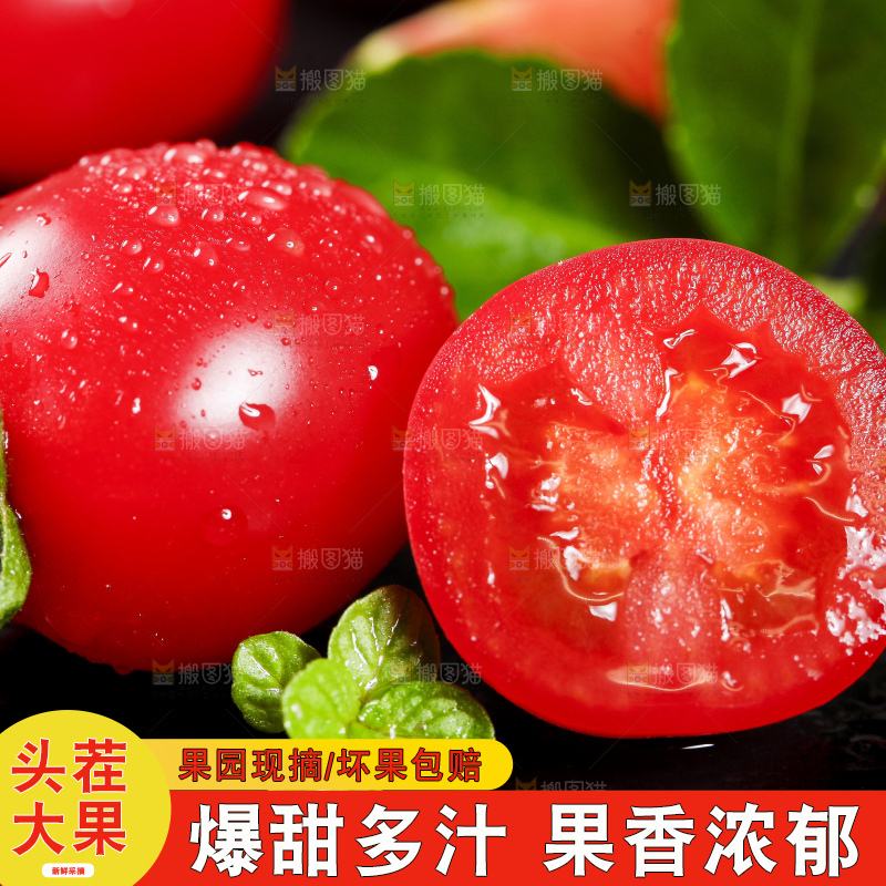 黑底上放着千禧圣女果