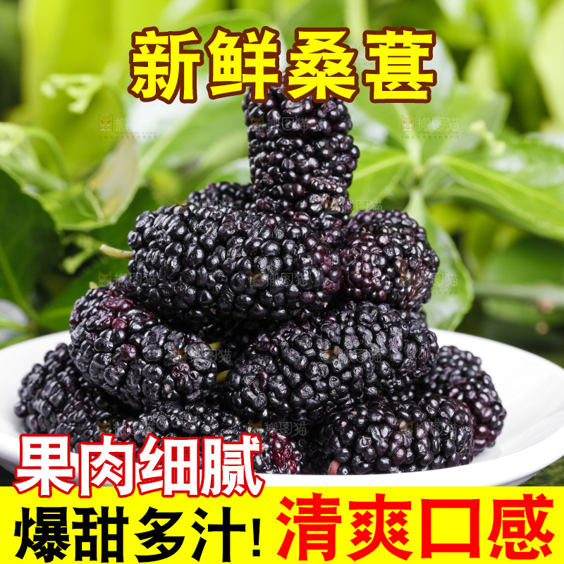 碟子里装着桑葚子