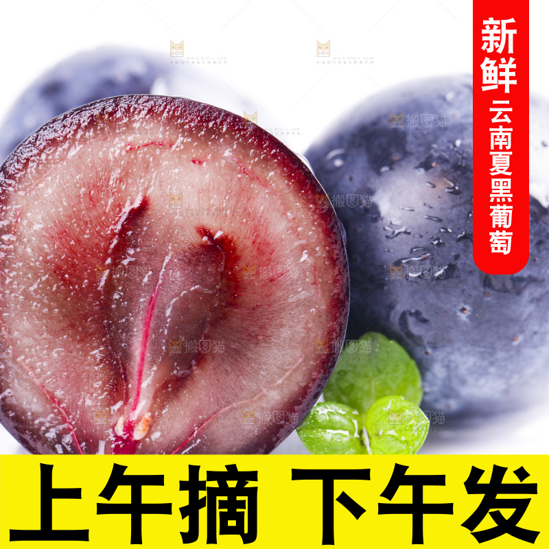 白底上放着夏黑加仑葡萄