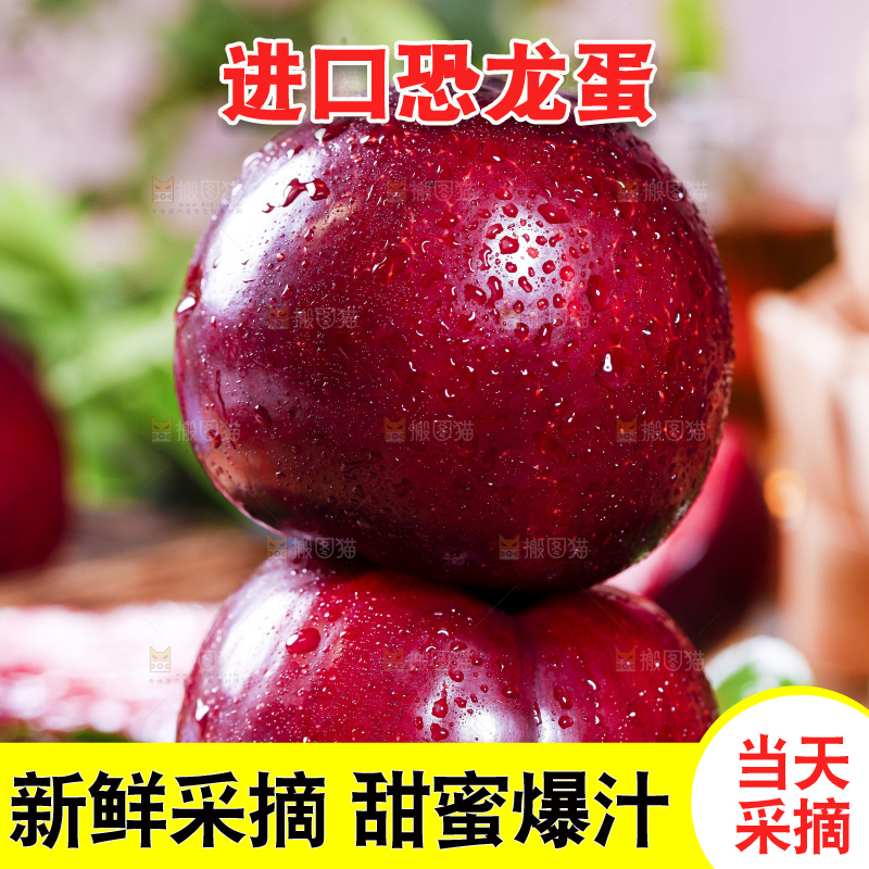 黑底上摆放着恐龙蛋李