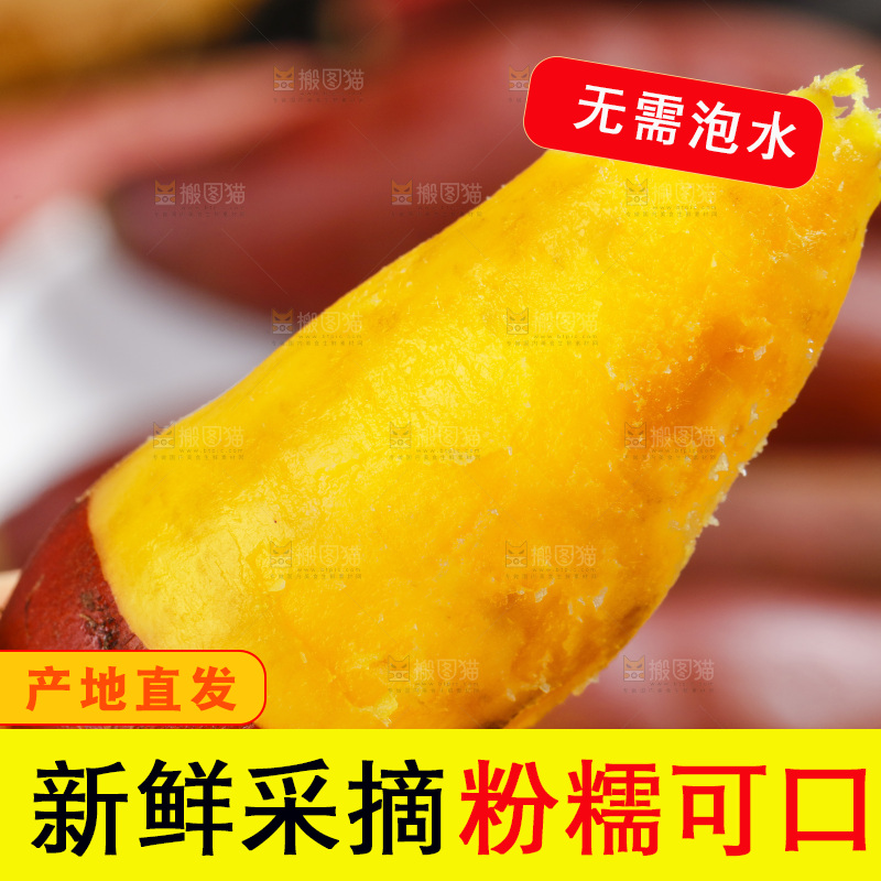 手里拿着小番薯