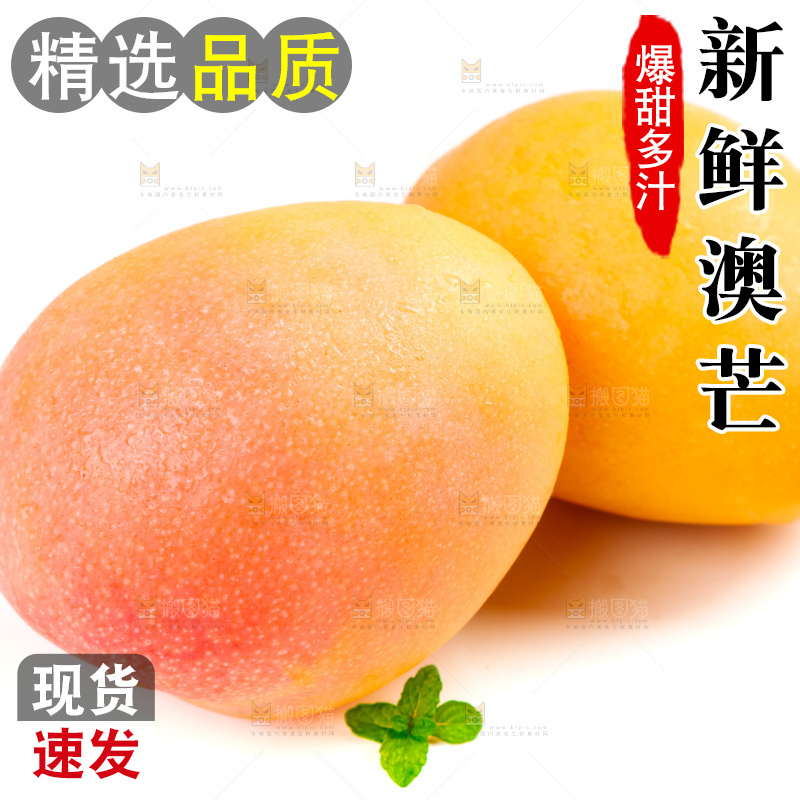 白底上摆放着越南澳芒