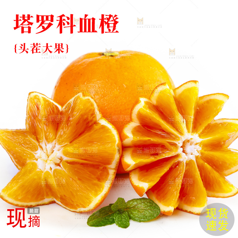 白底上摆放着塔罗科血橙