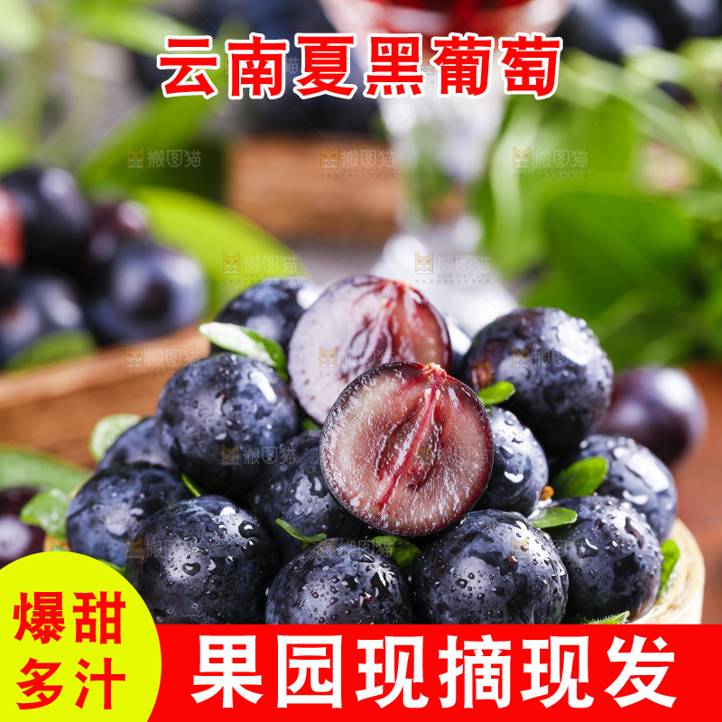 篮子里装着夏黑葡萄