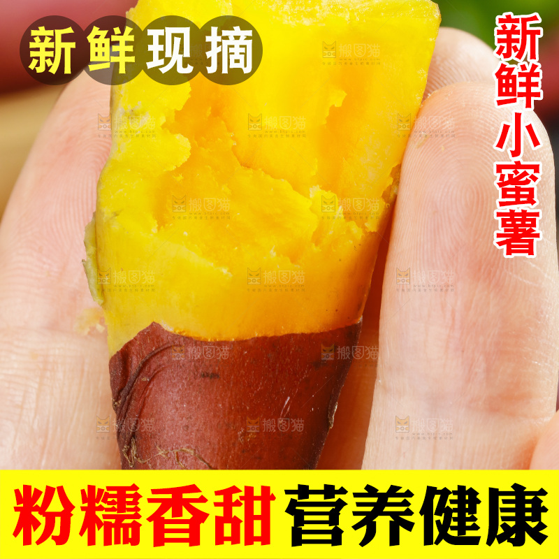 手里拿着天目山小香薯