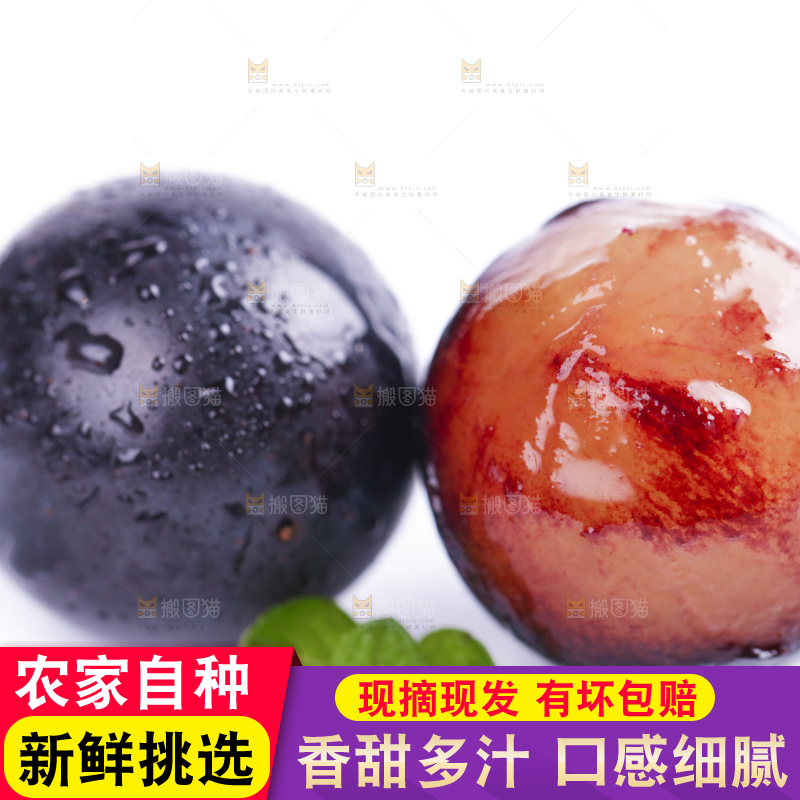 白底上摆放着夏黑葡萄