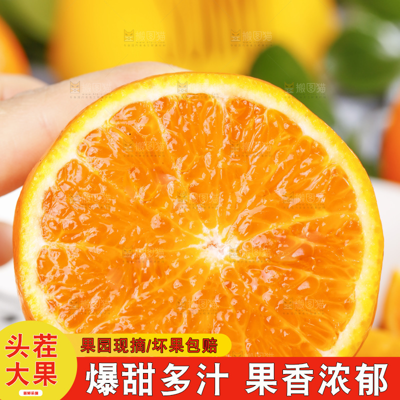 手里拿着沃柑