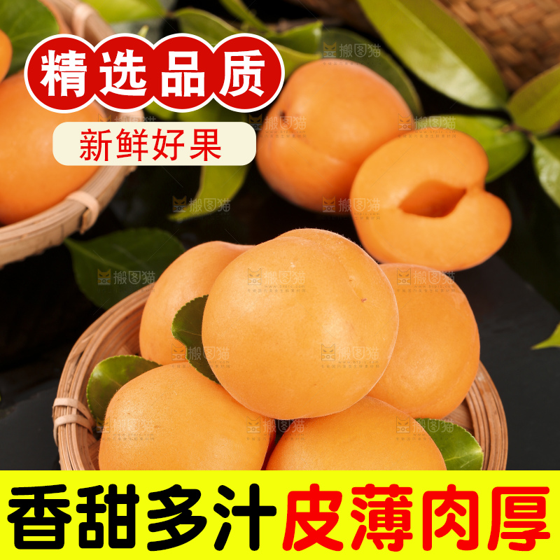篮子里装着烟台杏子