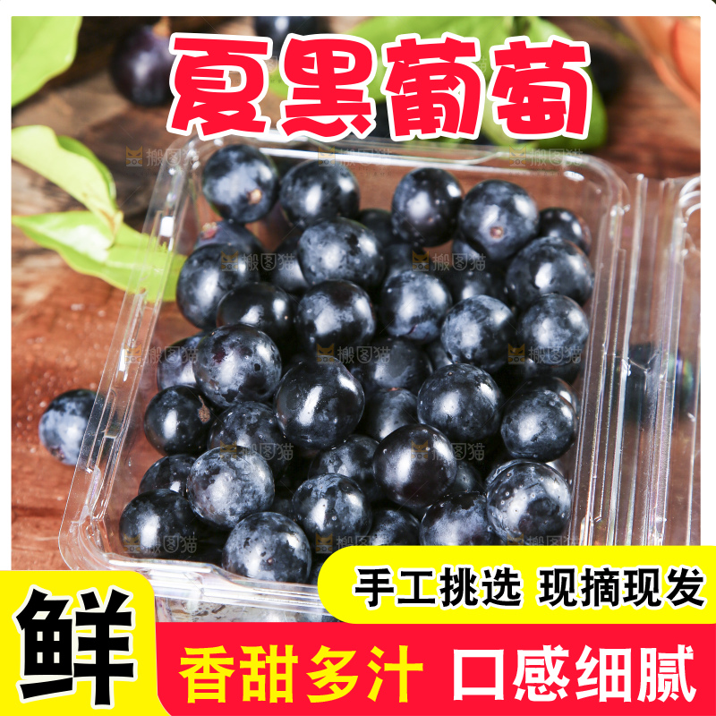 盒子里装着夏黑
