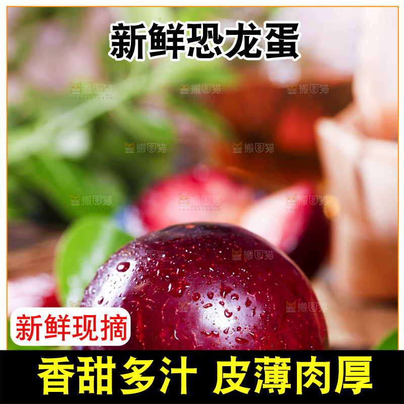 盘子里装着恐龙蛋