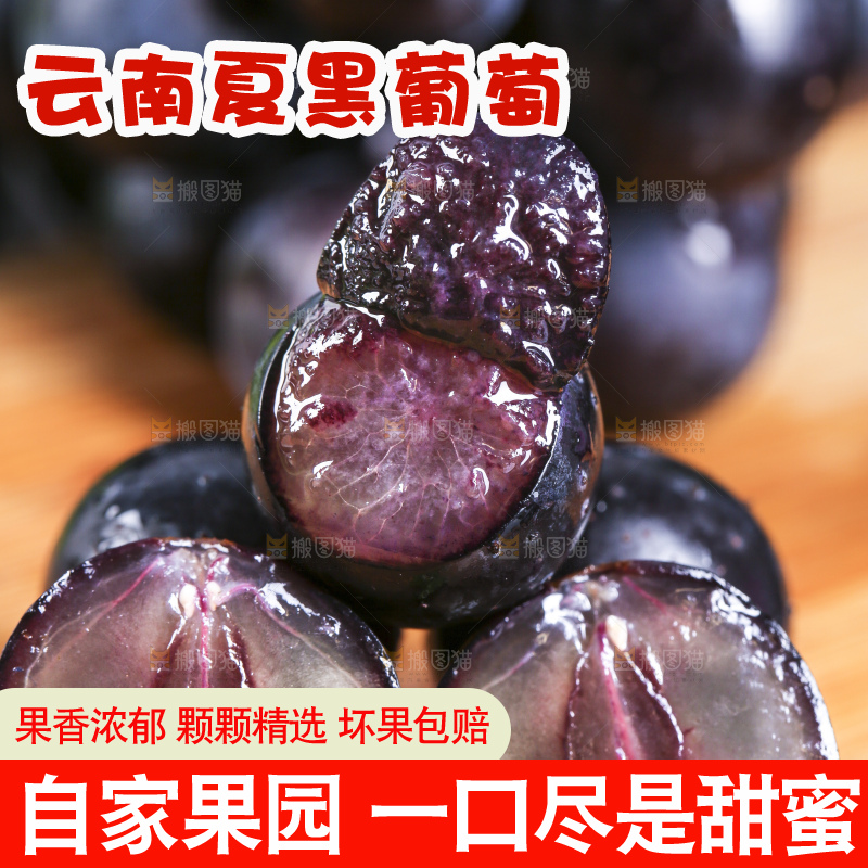 木底上摆放着无籽黑提