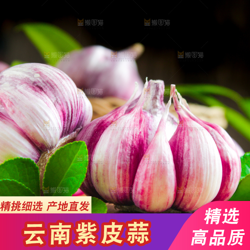 木板上放着紫皮鲜蒜