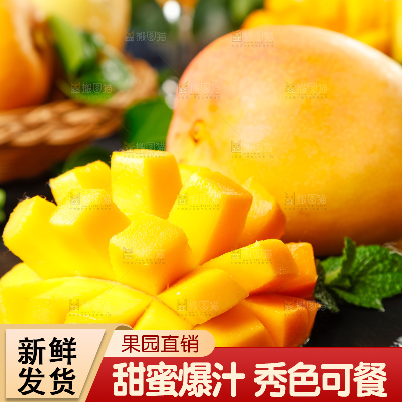 黑底上摆放着澳芒