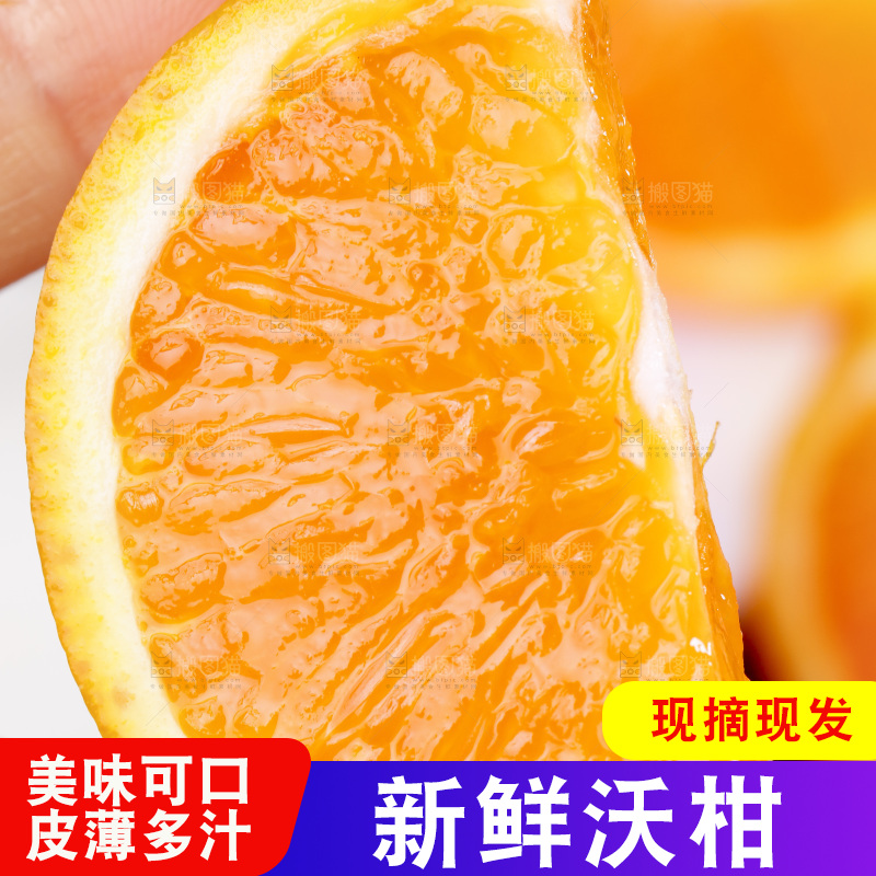 手里拿着沃柑