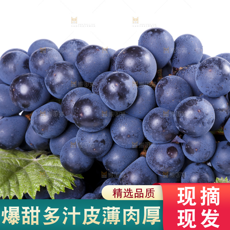 白底上放着云南夏黑葡萄