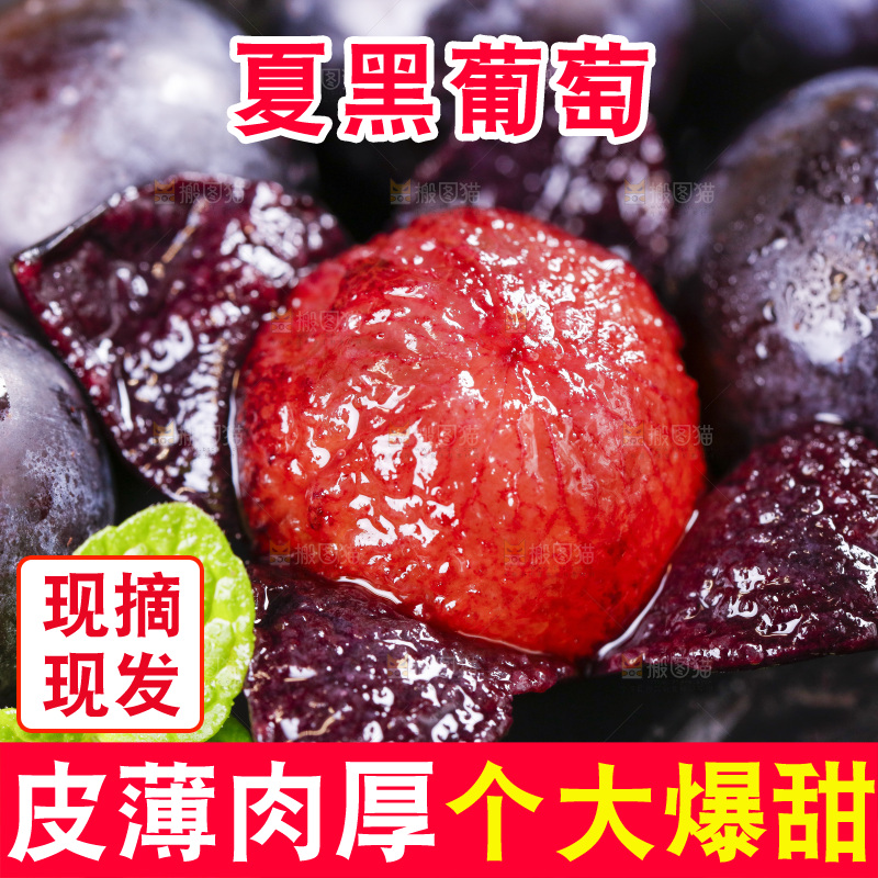 黑底上摆放着黑加仑葡萄
